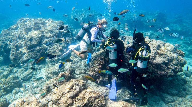 Onna Cape Maeda Blue Cave snorkeling real photo