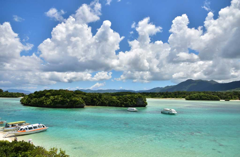 Ishigaki Kabira Bay manta diving real photo